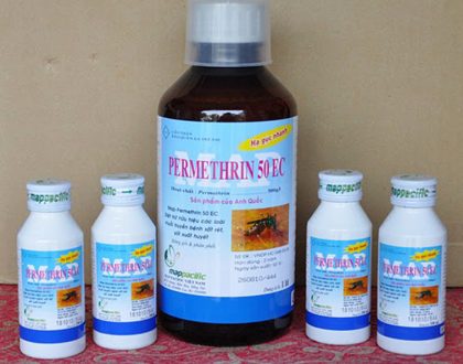 PHUN DIỆT MUỖI HIỆU QUẢ ĐẾN 90% TẠI VŨNG TÀU